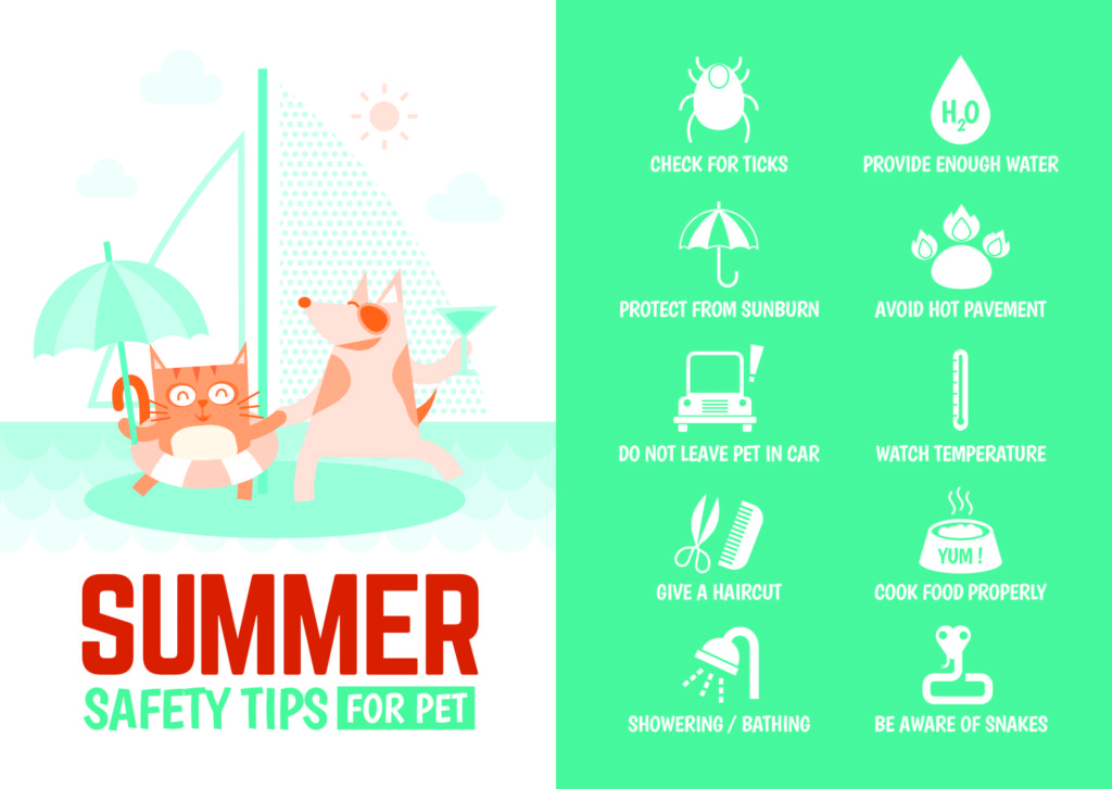 Summer Safety Tips for Pets: check for ticks, provide enough water, protect from sunburn, avoid hot pavement, do not leave pet in a car, watch temperature, give a haircut, cook food properly, showering/bathing, be aware of snakes